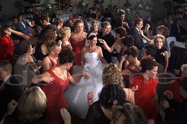 Find your dj, photographer, or videographer at WeDJ.com
